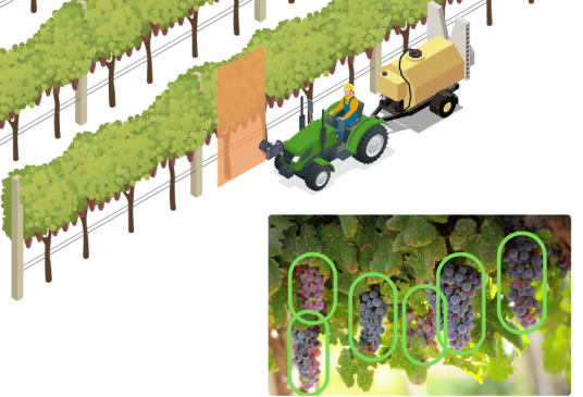 Awentia, l’AI per migliorare l’agricoltura attraverso l’analisi delle immagini