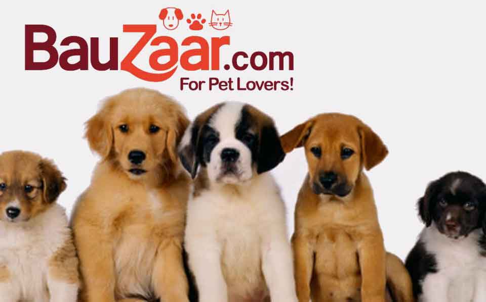 Pet Economy, italian ecommerce Bauzaar raises 250k euros