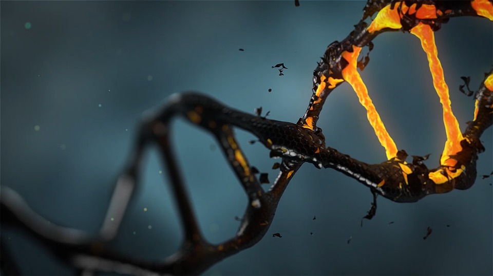 Editing genetico, la startup trentina Alia raccoglie 1,3 milioni