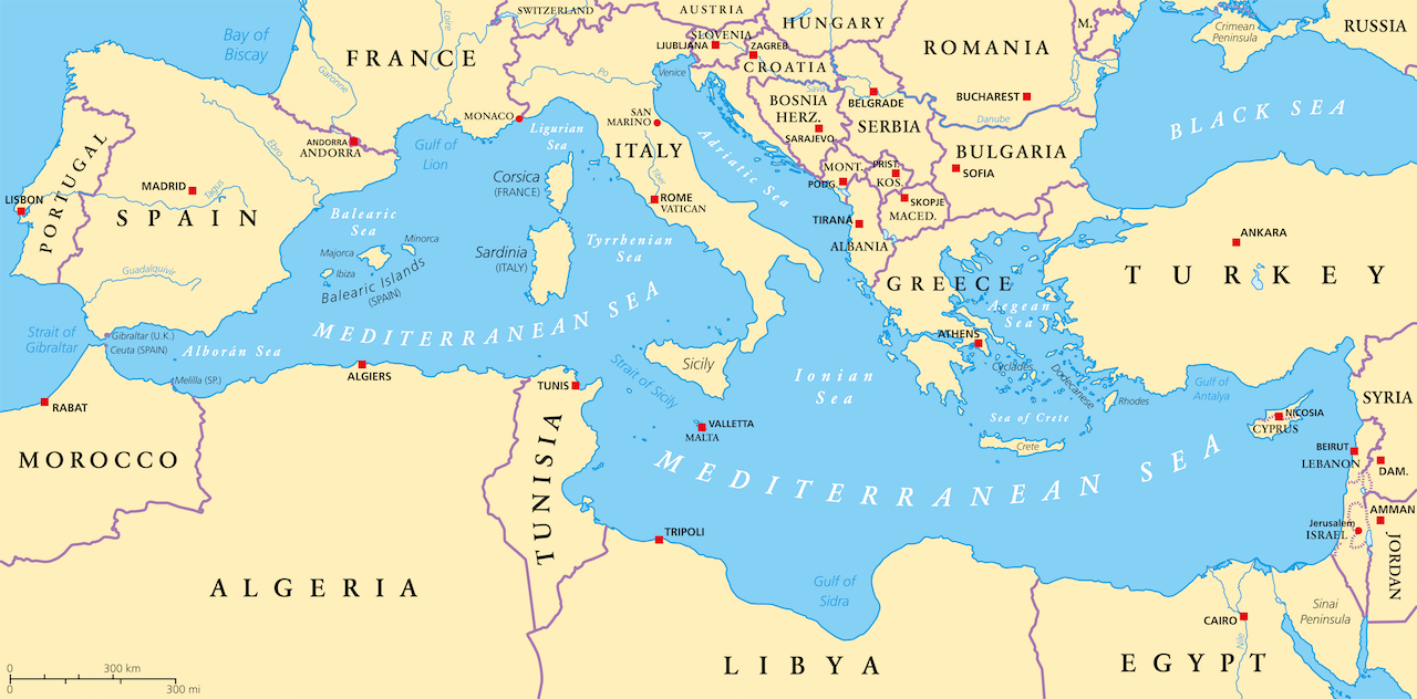 Cooperazione mediterranea, innovazione e diaspore (white paper)