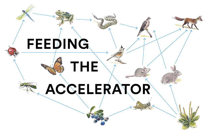Feeding the Accelerator, ecco le dieci startup selezionate