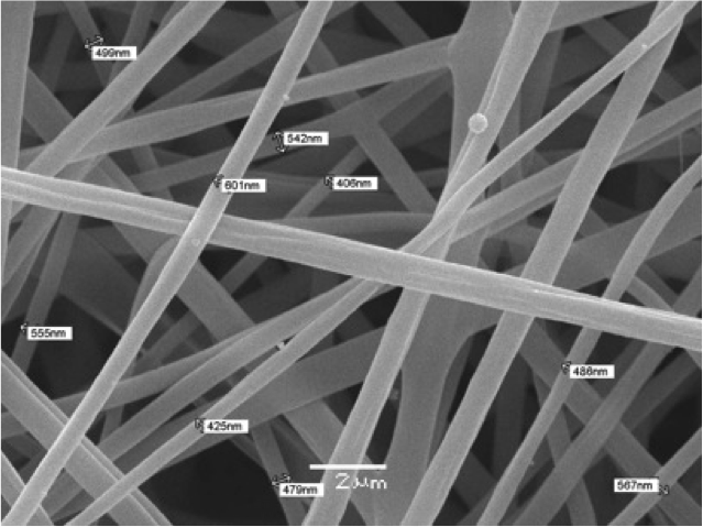 Silk Biomaterials: opportunità e sfide con 7 milioni in cassa