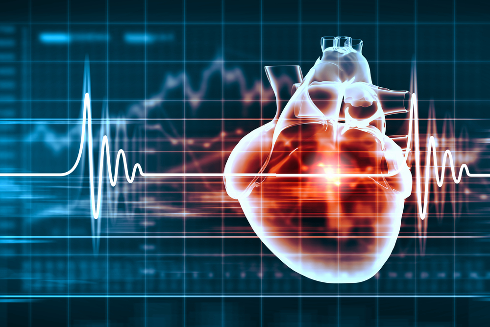 Lifescience, ecco CVLab, l’incubatore di startup cardiovascolari