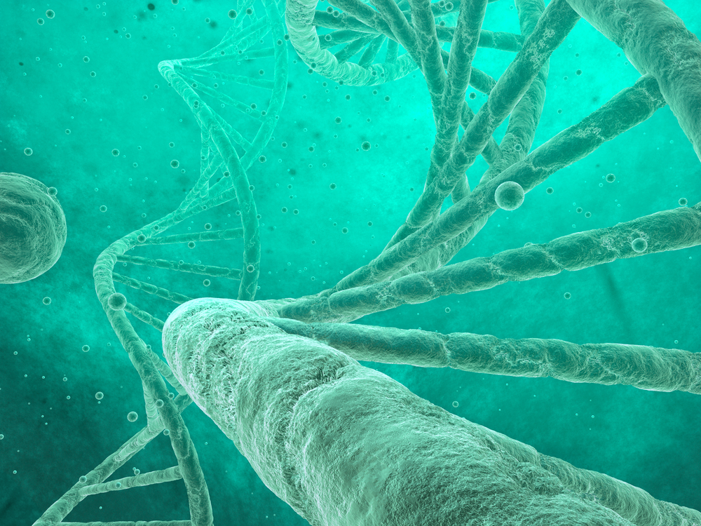 Crowdfunding per Biogenera, la startup biotech che cura il cancro